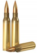 .338 Lapua Magnum